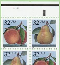 PeachPear-un-4.jpg (10310 bytes)