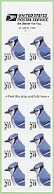 BlueJay-f-s.jpg (9712 bytes)