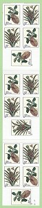 Botanical-v-f-d.jpg (10078 bytes)