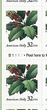 Holly-d-s.jpg (9205 bytes)