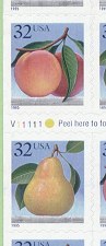PeachPear-f-d-s.jpg (8804 bytes)