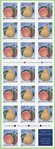 PeachPear-f-s.jpg (12174 bytes)