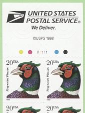 pheasant-cb-f-d-s.jpg (10793 bytes)