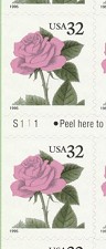 pinkrose-f-d-s.jpg (8759 bytes)