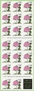pinkrose-f-s.jpg (11656 bytes)