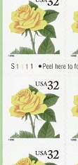YelRose-cb-f-d-s.jpg (9339 bytes)