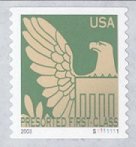 AmerEagle1s.jpg (5599 bytes)