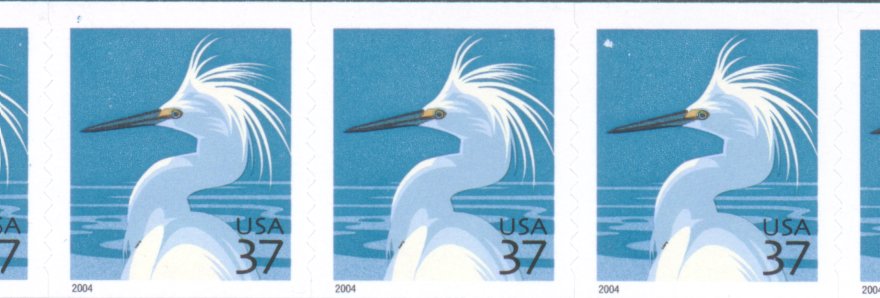 Egretcpv-1.jpg (50876 bytes)