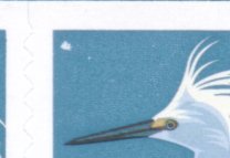 Egretcpv-3.jpg (5813 bytes)