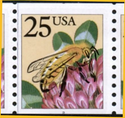 bee-seamline.jpg (33345 bytes)