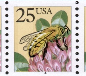 bee-short.jpg (30969 bytes)